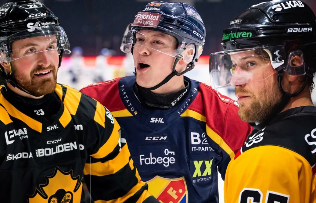 Så har SHL-lagen presterat inför säsongen – samtliga lags poängkungar
