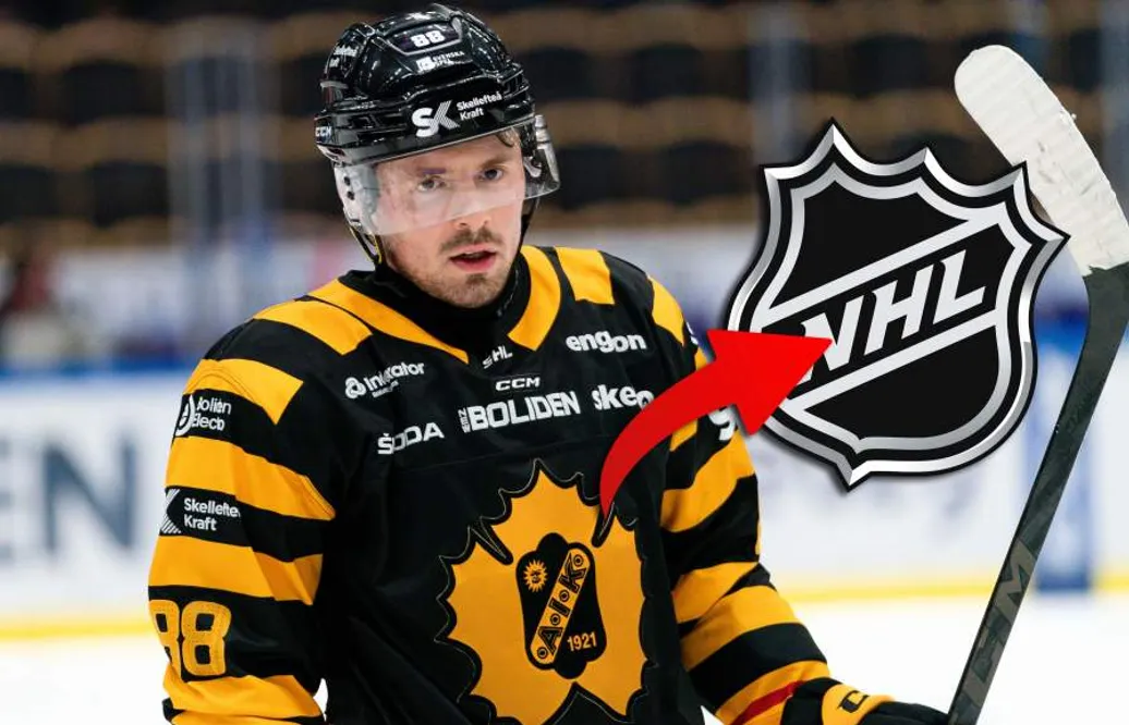 Jayce Hawryluk vänder hem till Nordamerika