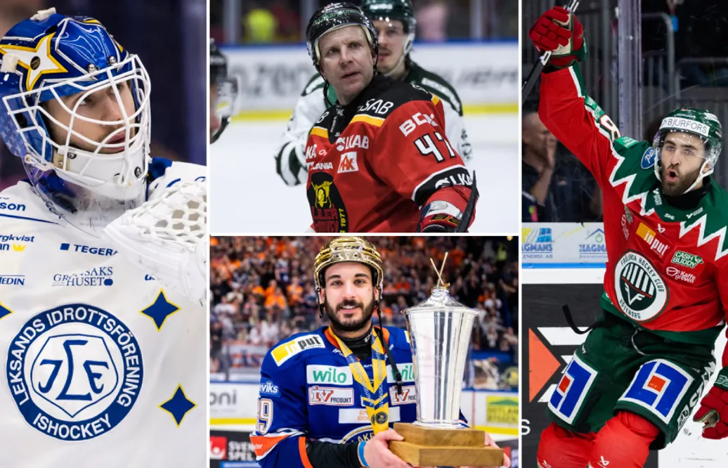 15 SHL-spelare som fortfarande saknar klubb