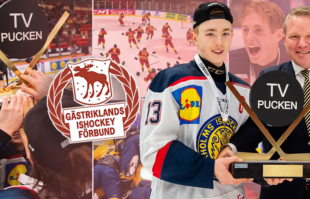 TV-pucken 2024: Gästrikland – kommentarer om ALLA spelare