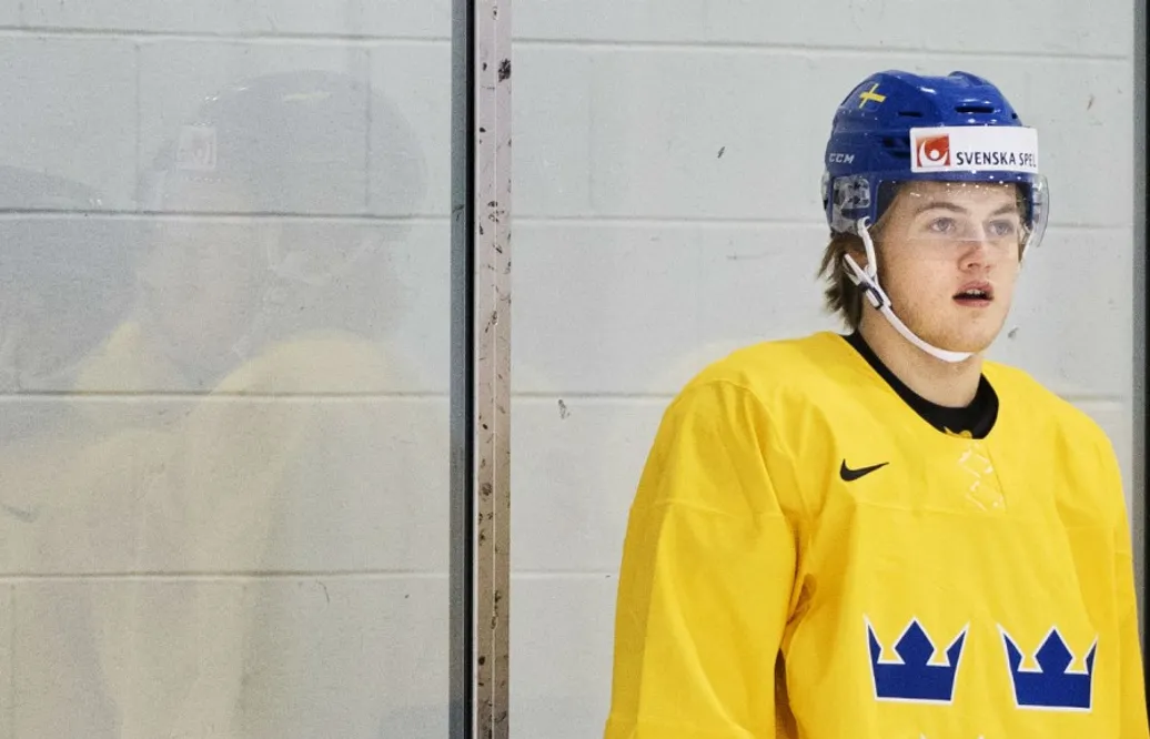 Förbundet bekräftar: Nylander och Ollas Mattsson spelar inte mer