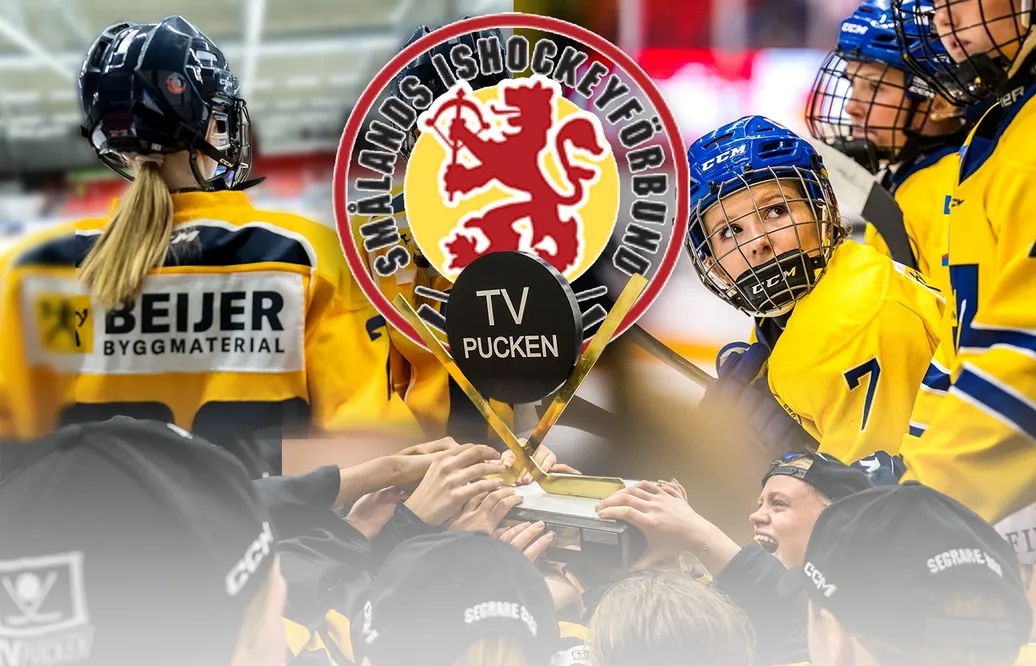 TV-pucken: Kommentarer om ALLA spelare – Småland