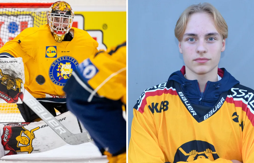 Beskedet: Love Härenstam missar säsongsinledningen