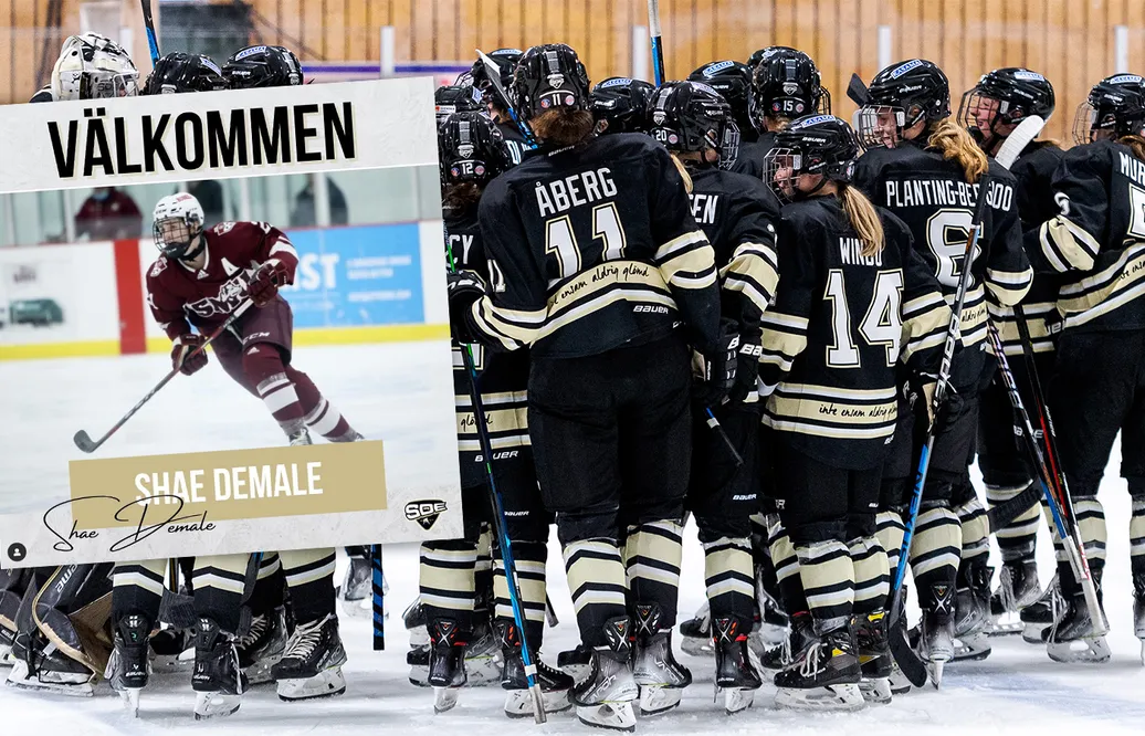 Shae Demale tillbaka i SDHL - klar för SDE