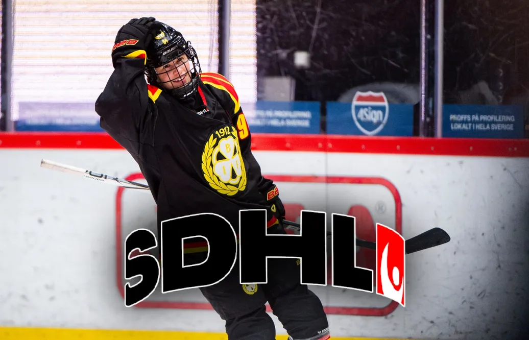 SDHL:s silly season - så har lagen värvat