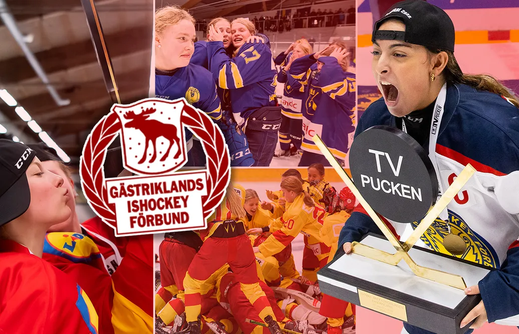 Gästrikland – TV-pucken 2023: Kommentarer om ALLA spelare