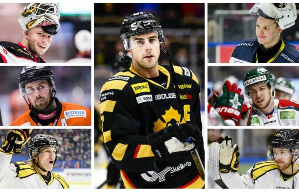 Den stora statistiska SHL-sammanfattningen