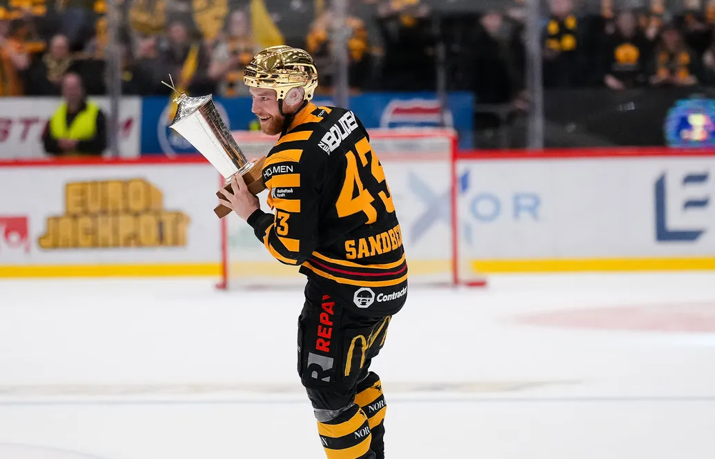 Filip Sandberg klar för HC Litvinov