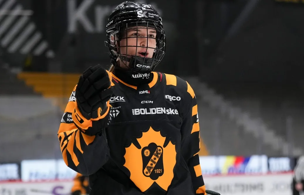 Skellefteå segrare hemma mot SDE