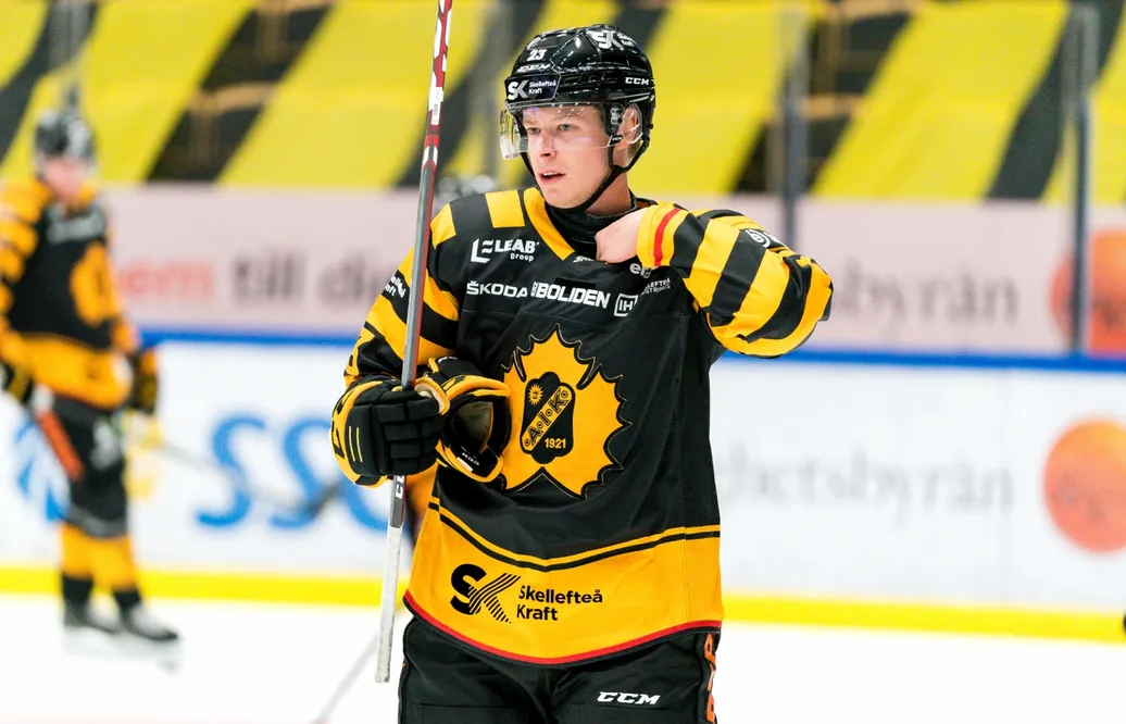 Här är tidigare SHL-svenskens nya klubb: "Vet vad vi får"