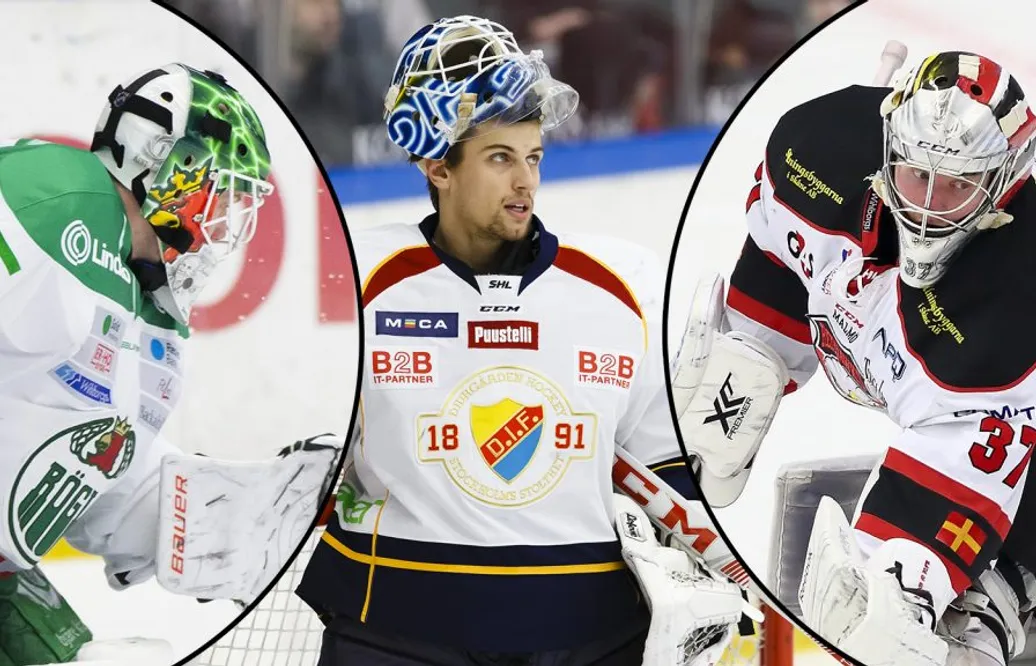 Tidigare SHL-målvakterna oönskade av sina NHL-klubbar