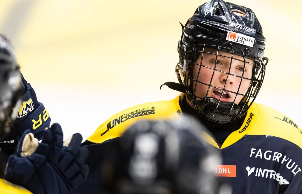 HV 71 slog AIK på hemmaplan