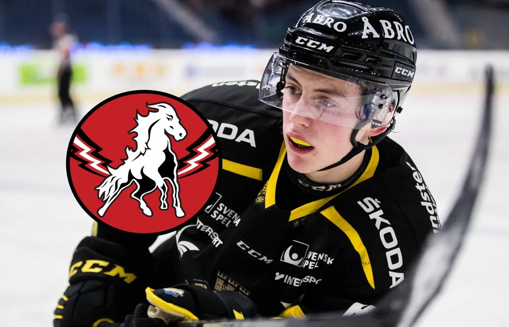 Sebastian Falk skriver på för Vita hästen