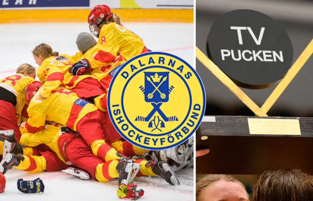 Dalarna – TV-pucken 2022: Kommentarer om ALLA spelare