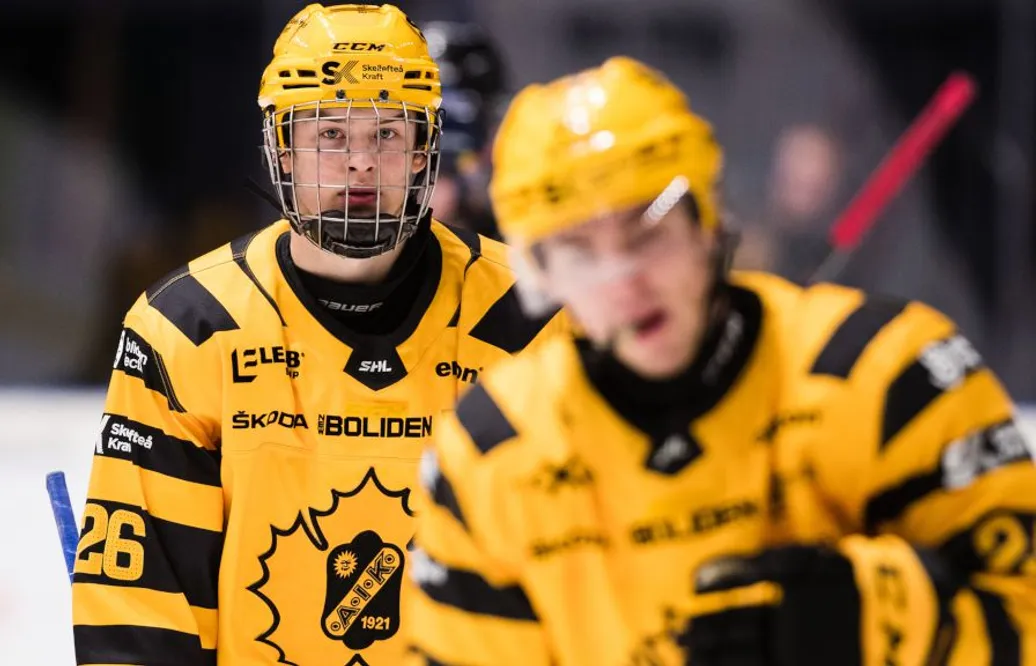 Stortalangen kan få speltid i Hockeyettan