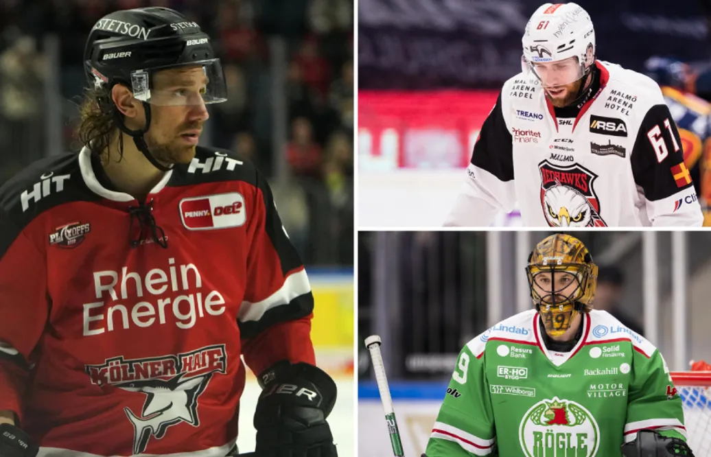 Andreas Thuresson stannar i Kölner Haie – SHL-bekantingarna får lämna