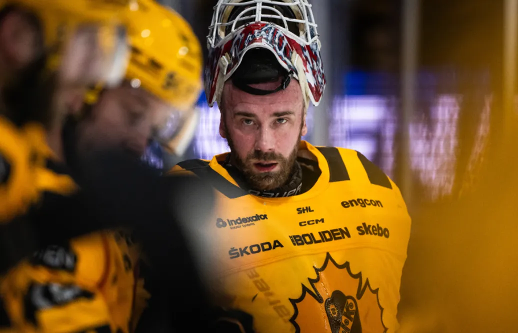 David Rautio tränar med Skellefteå AIK