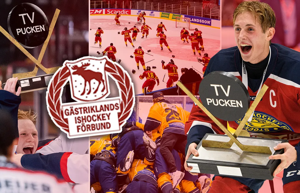 TV-pucken 2023: Gästrikland – spelare för spelare