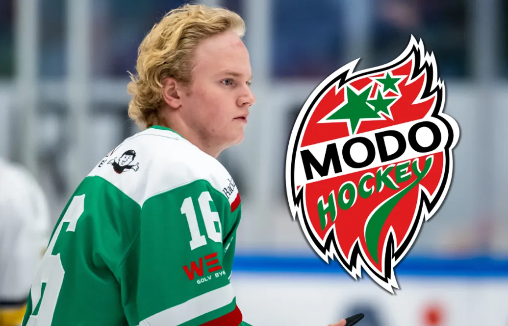 Theodor Niederbach lånas ut från Rögle till MoDo