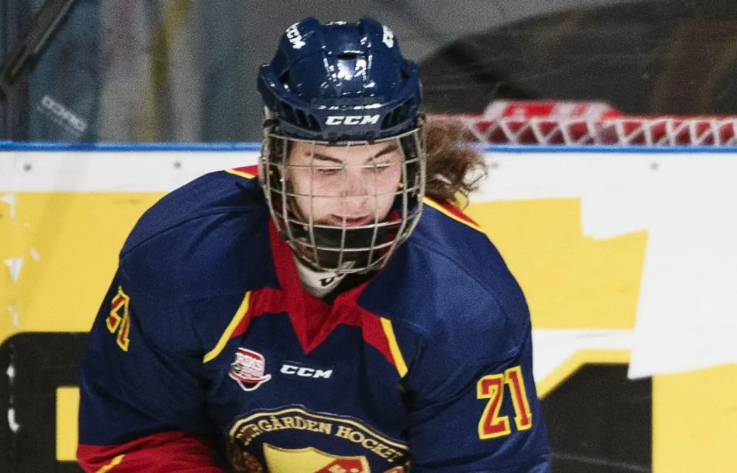 Svenska mästarna tappar duo: ”Går inte att kombinera jobbet och hockeyn”