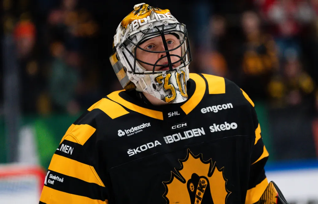 Alexander Hellnemo klar för Rögle