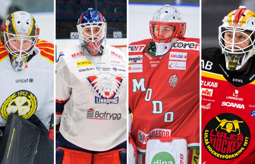 De gör upp om titeln årets målvakt i SDHL