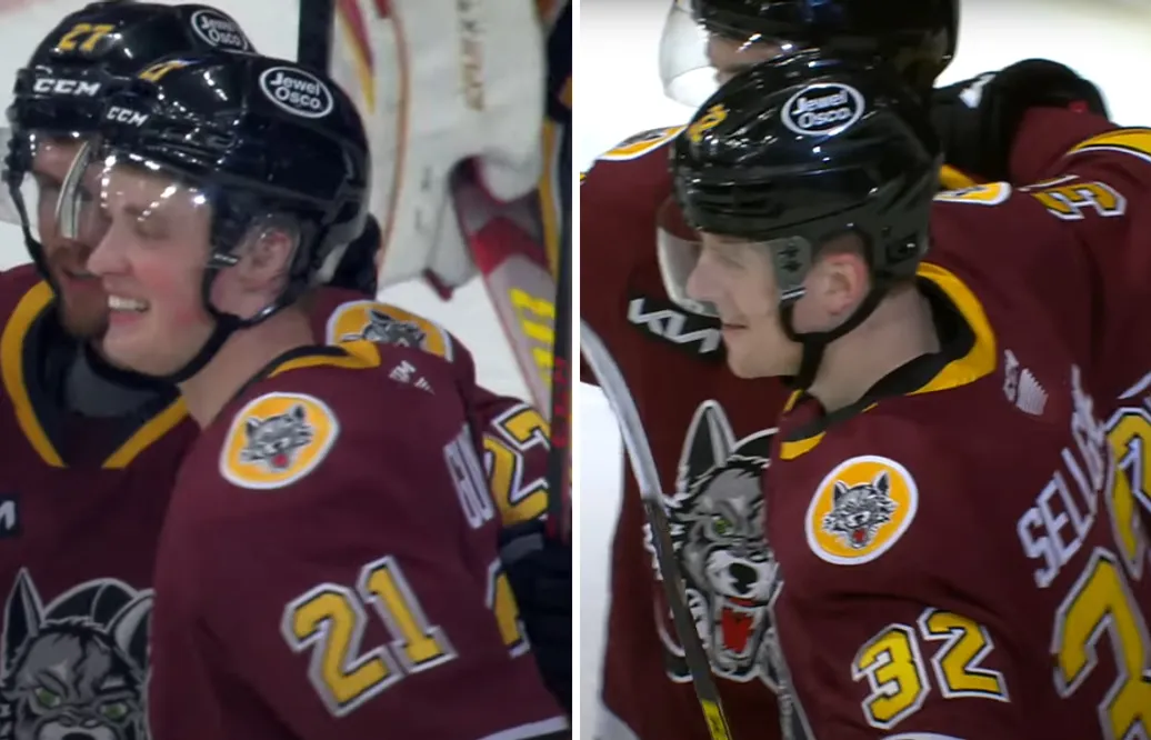 Jesper Sellgren och Noel Gunler till AHL-final