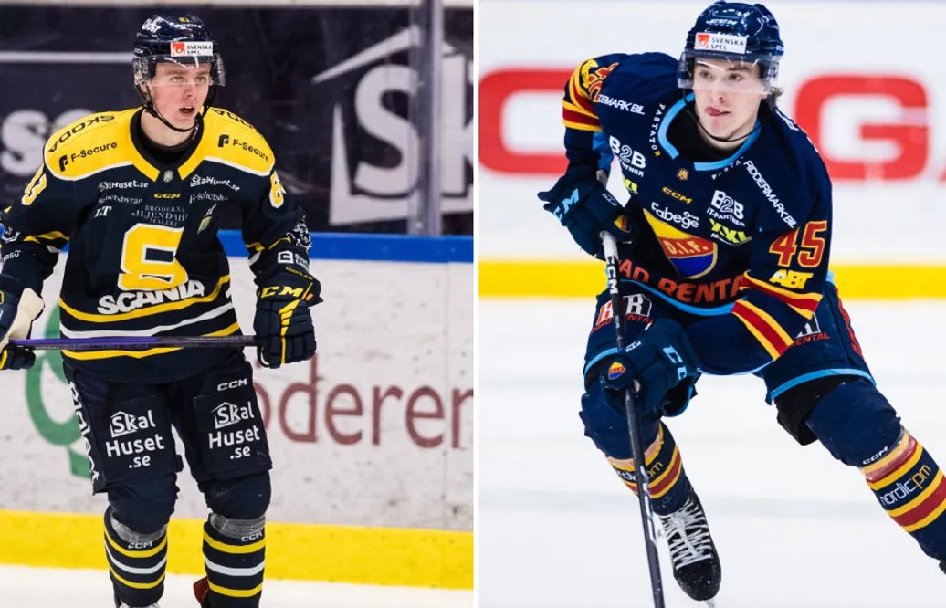 Spelarna som gör upp om Guldgallret