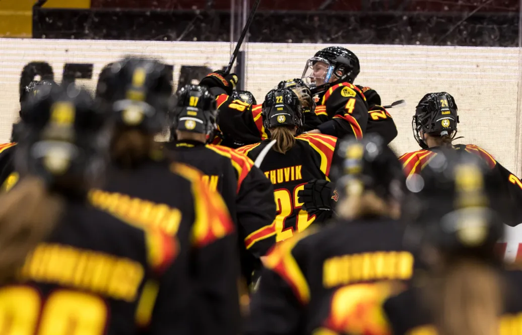 Brynäs har sju raka segrar – vann mot SDE med 6-1