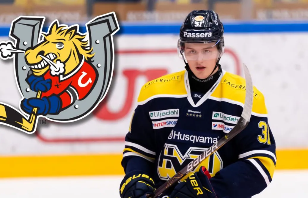 Talangen lämnade HV71 – klar för OHL-spel