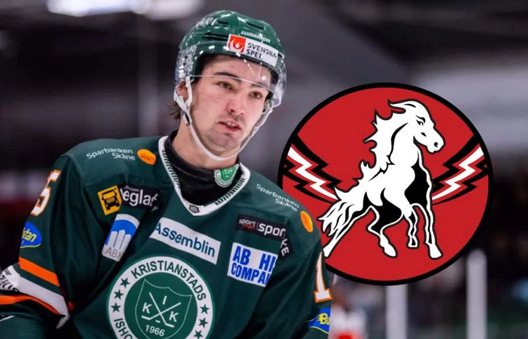 Patrick Bajkov ansluter till Vita Hästen