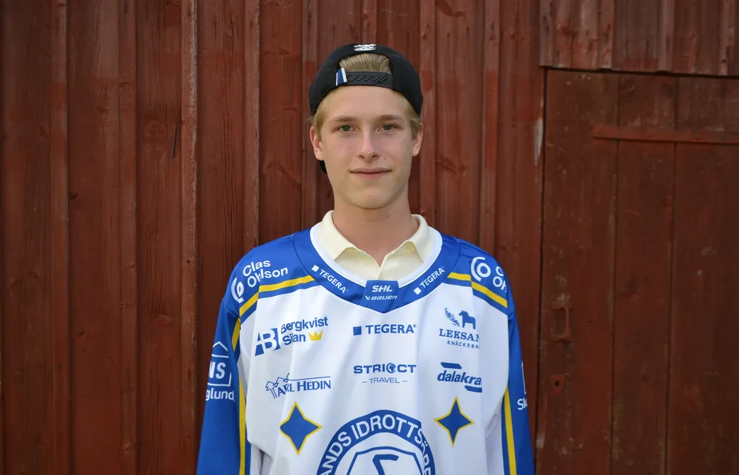 Kan lillebror Johansson ta en viktig roll i Hockeyallsvenskan?