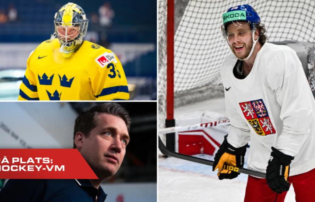 Så ska Tre Kronor få stopp på David Pastrnak: “En av de bästa målskyttarna i världen”