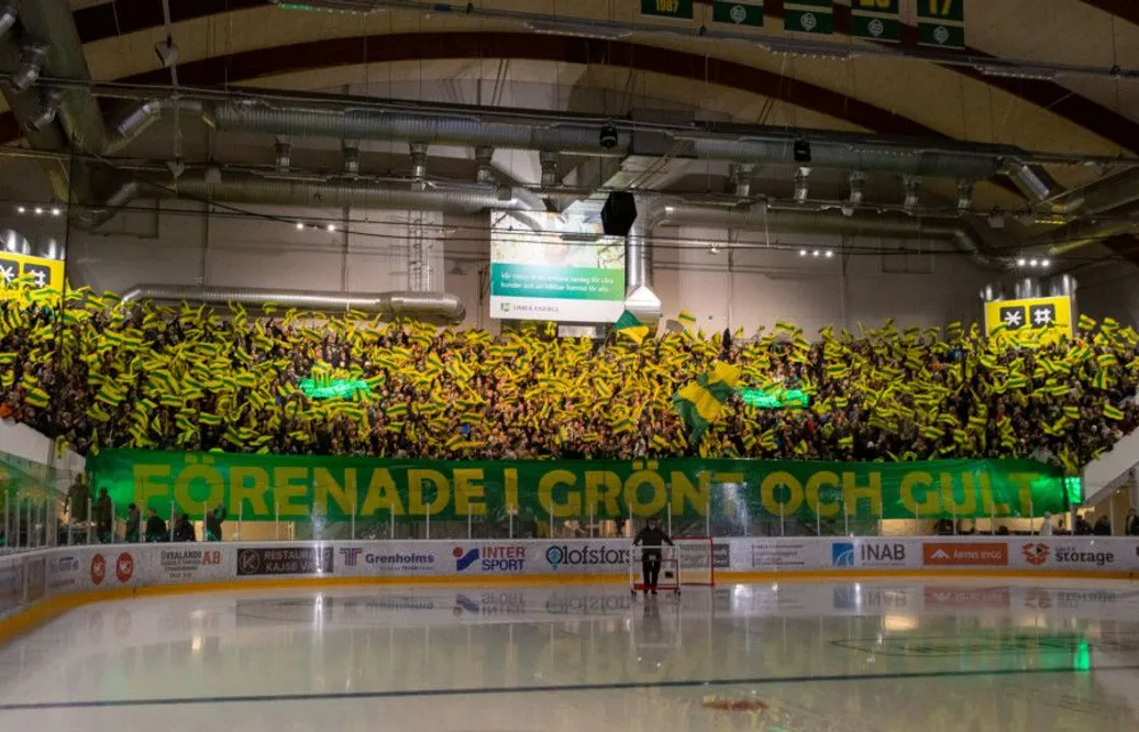 Han blir Hans Wallsons assisterande tränare
