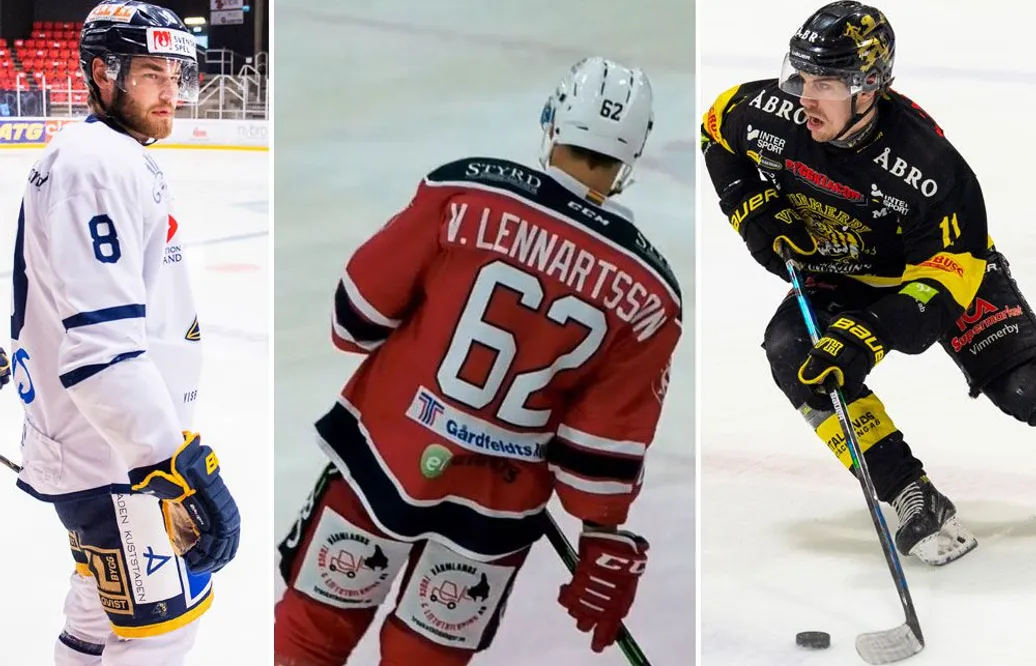 De allsvenska värvningarna från Hockeyettan – så kommer de färga