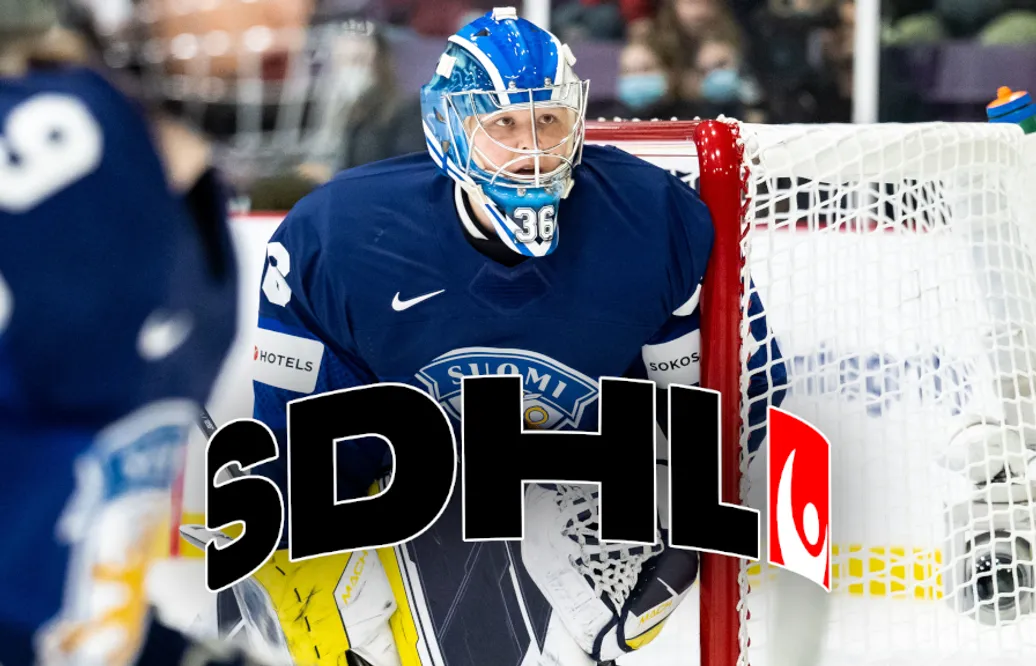 Ronnie Rönnkvist: SDHL:s mest intressanta målvakter