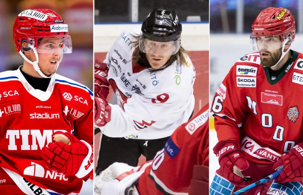 De har varit Hockeyallsvenskans bästa NHL-lån