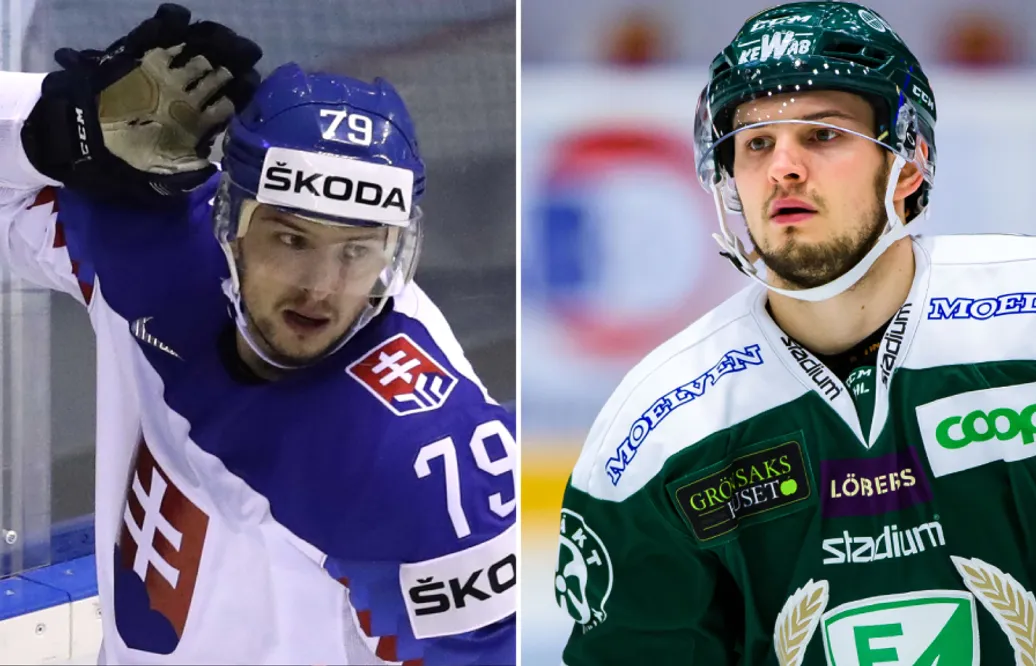 Uppgifter: Libor Hudacek på väg till Dynamo Moskva