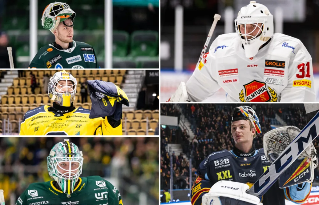 De nomineras till HockeyAllsvenskans bästa målvakt
