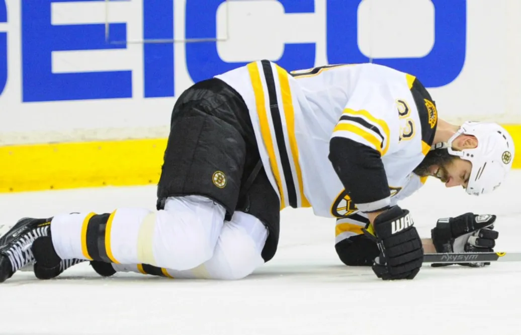 Boston: En björn som har gått vilse