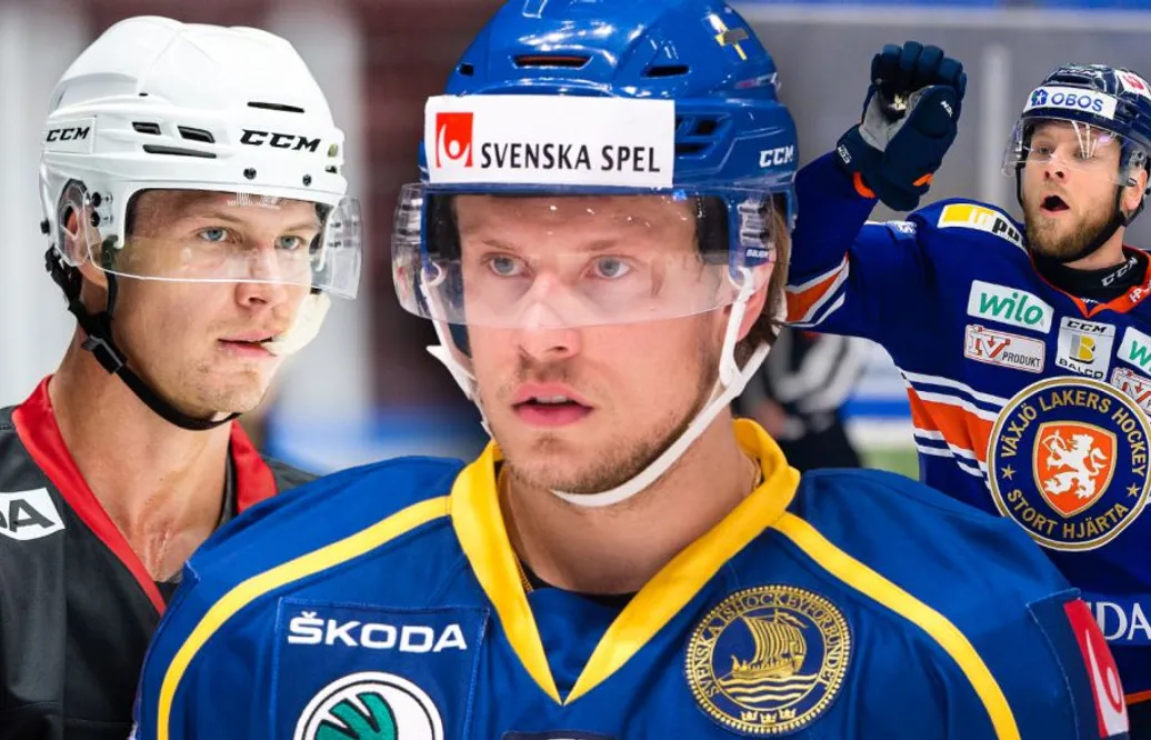 Lista: De är SHL:s mest följda spelare