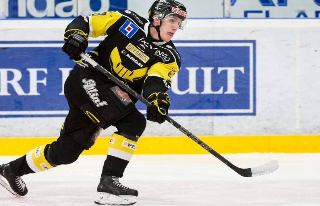 Björklöven värvar från konkurrenten
