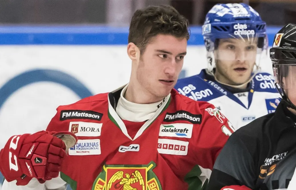 ”HV71 är ju det lag som alla i Småland håller på”