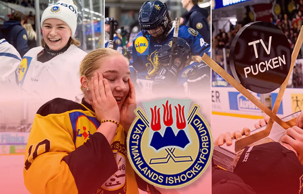 Västmanland – kommentarer om ALLA spelare