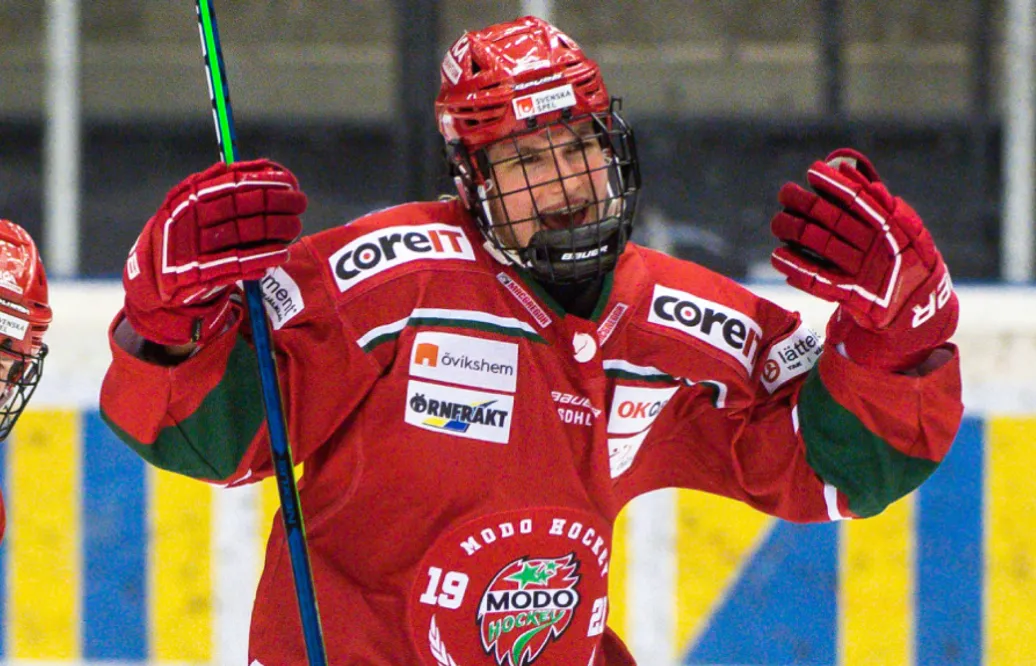 Efter fem raka segrar i SDHL tog vinstsviten slut för Luleå