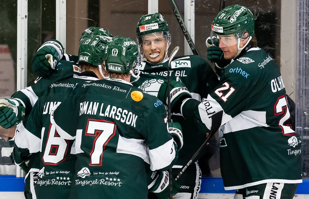 Tingsryds AIF spelar i Hockeyallsvenskan 2024/25