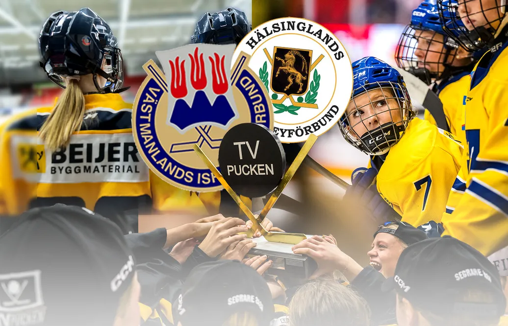 Västmanland/Hälsingland – kommentarer om ALLA spelare
