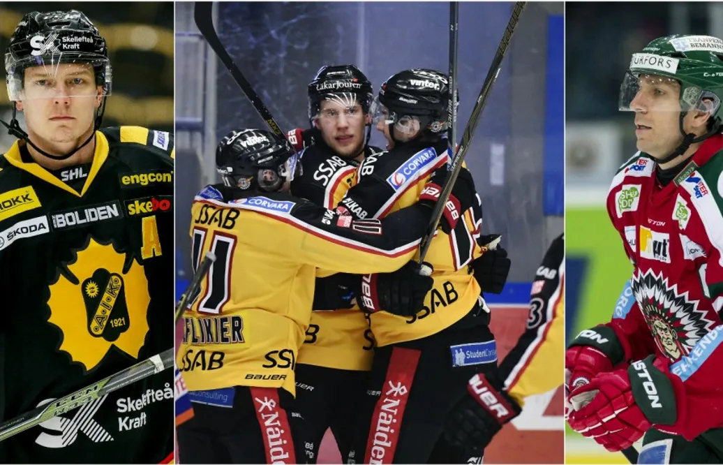 Spelarenkäten inför slutspelet – 56 SHL-spelare säger sitt inför SM-festen