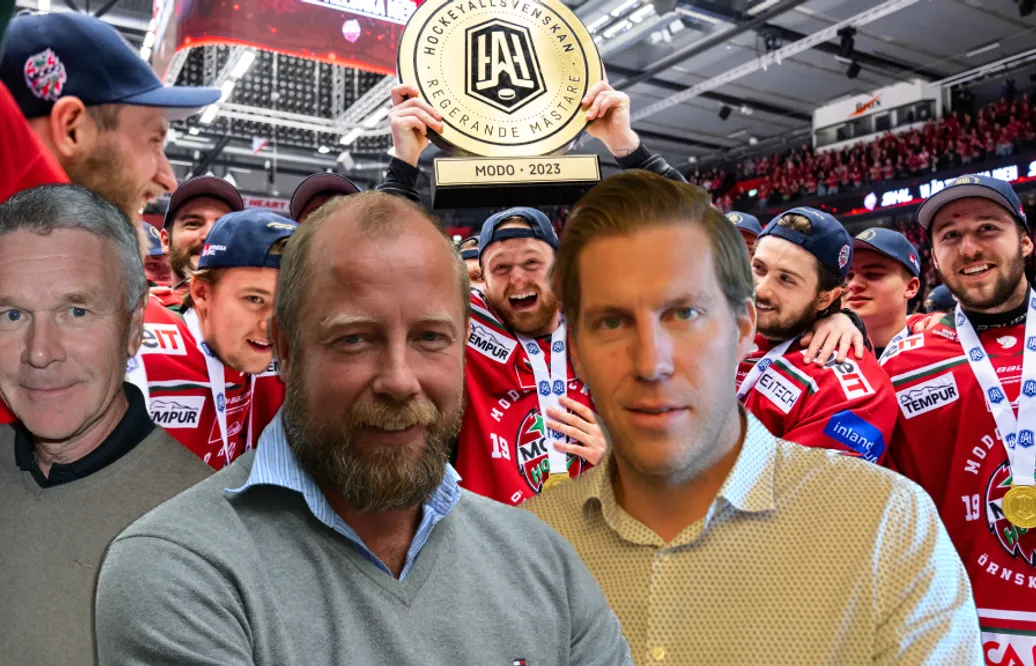 Hockeypanelen: "Allt annat än kval är dundersuccé"