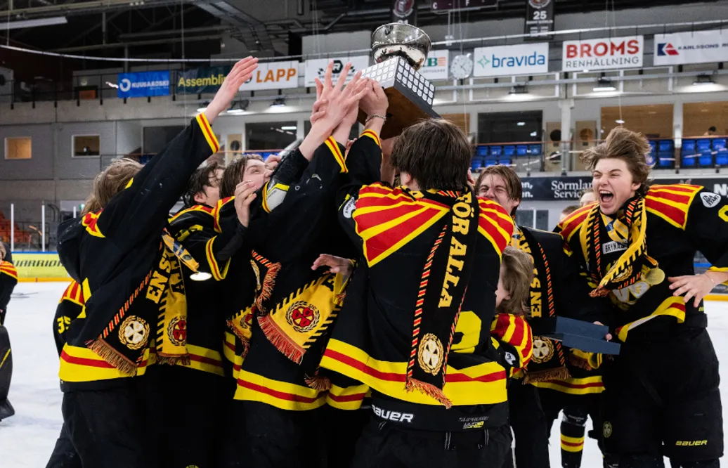 Brynäs vinner guld i U16-SM – efter storseger i finalen